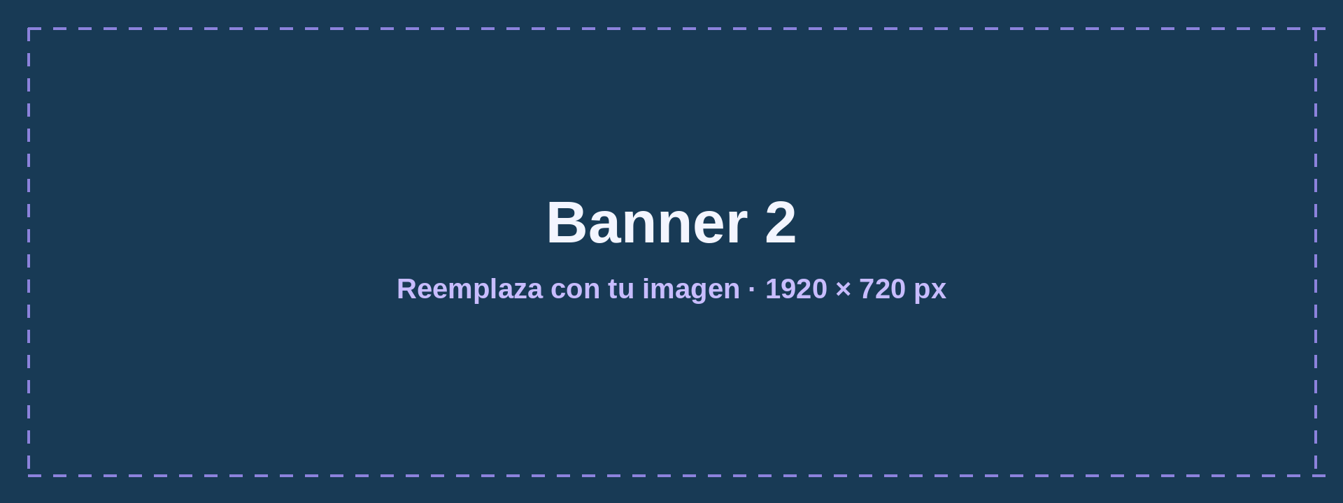 Banner 2